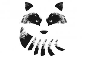 WhiteRacoon